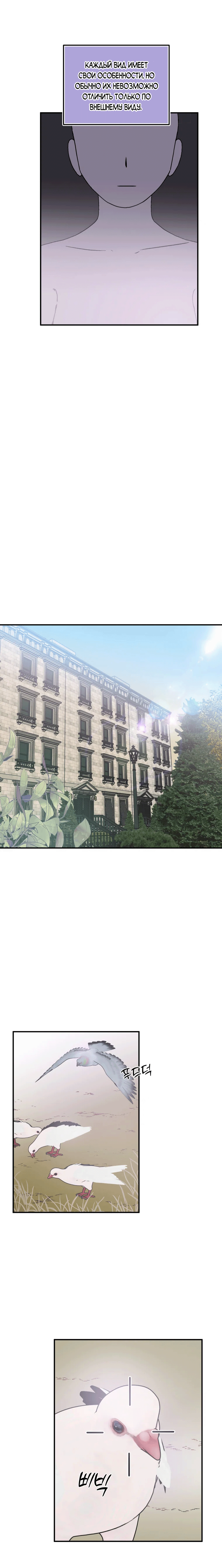 Страница 5 главы 1.00 - Бедный Камбион