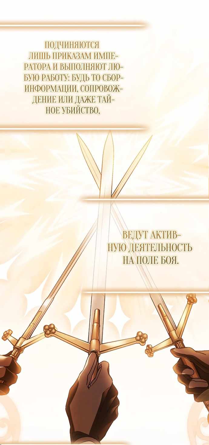 Страница 24 главы 23.00 - Черная цепь