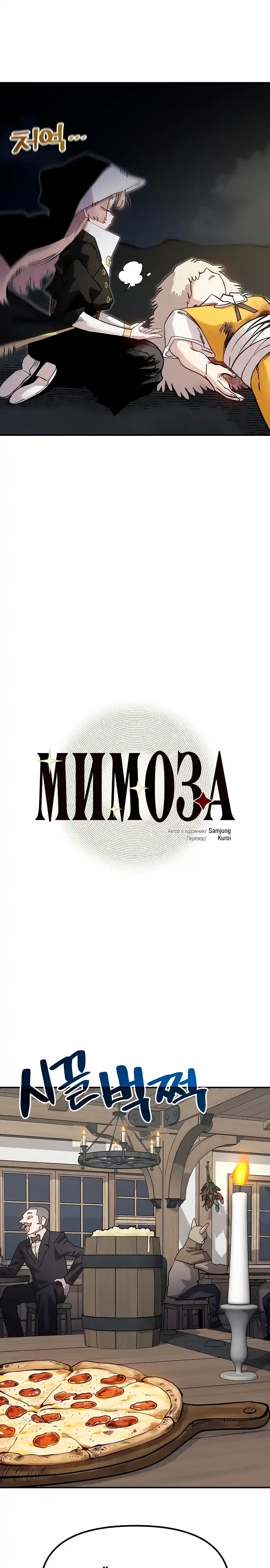Страница 13 главы 37.00 - Мимоза