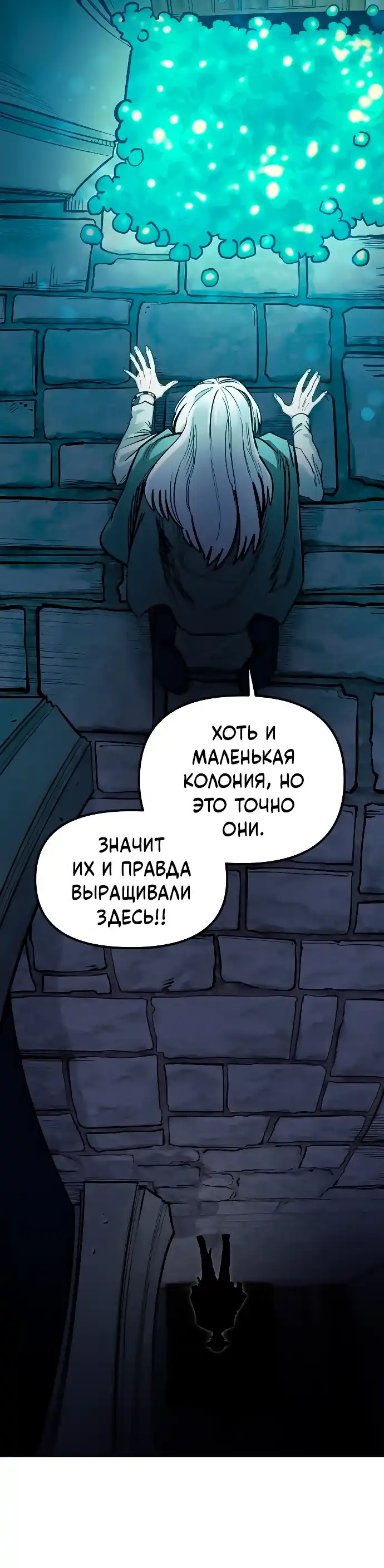 Страница 11 главы 41.00 - Мимоза