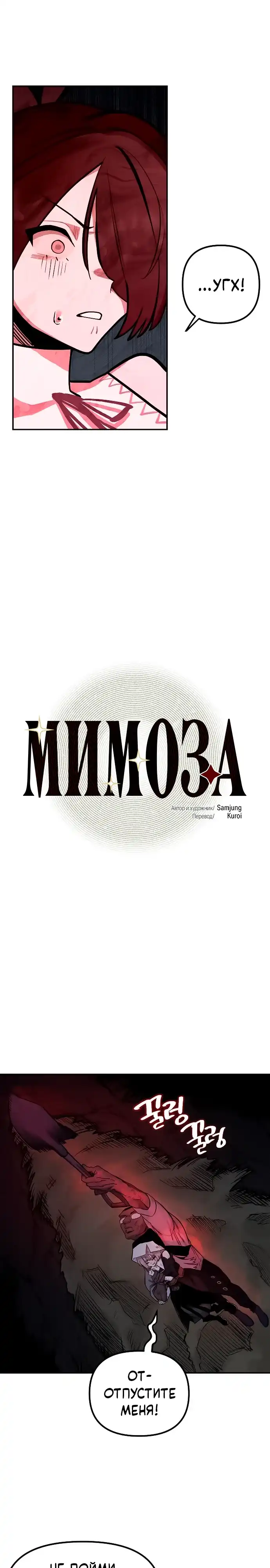 Страница 9 главы 52.00 - Мимоза