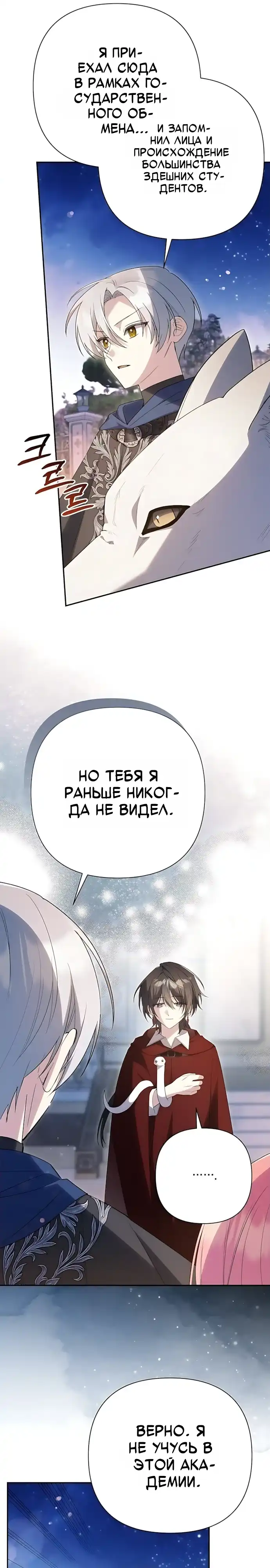 Страница 31 главы 49.00 - Младшая дочь великого волшебника из известной семьи фехтовальщиков.