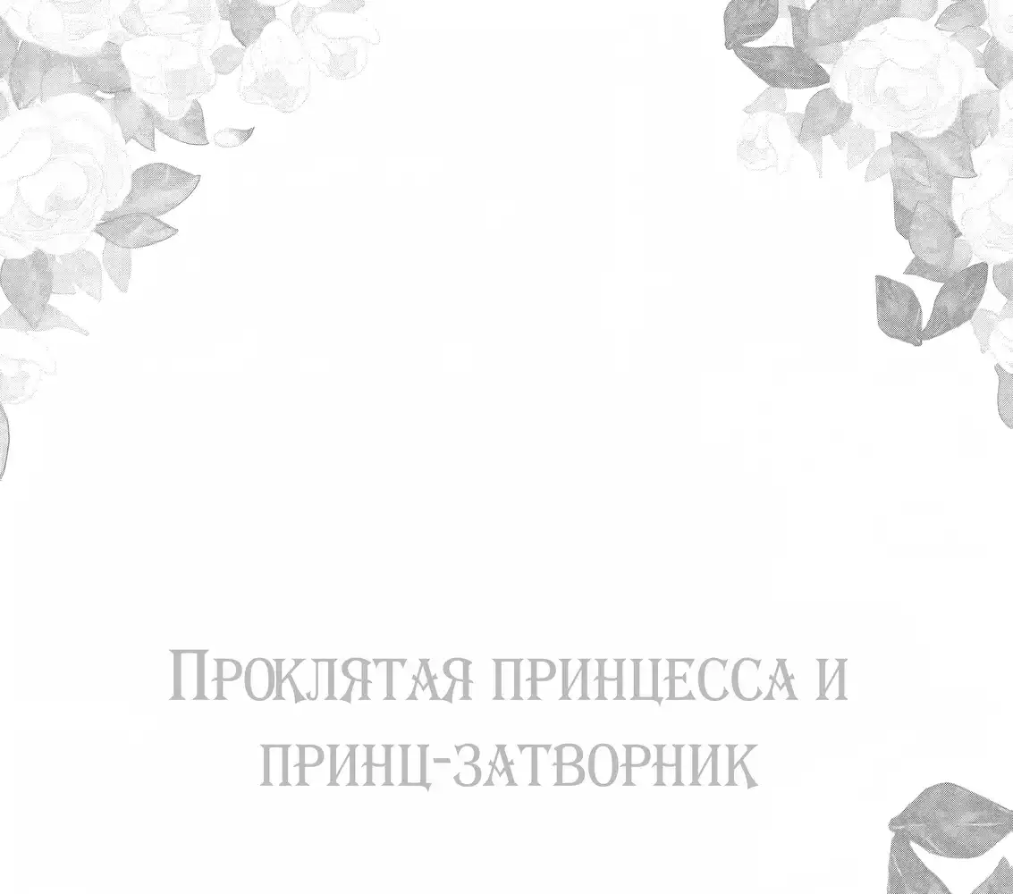 Страница 3 главы 2.10 - Проклятая принцесса и Принц-затворник